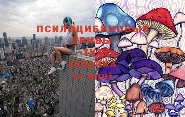 прущие грибы Пролетарск
