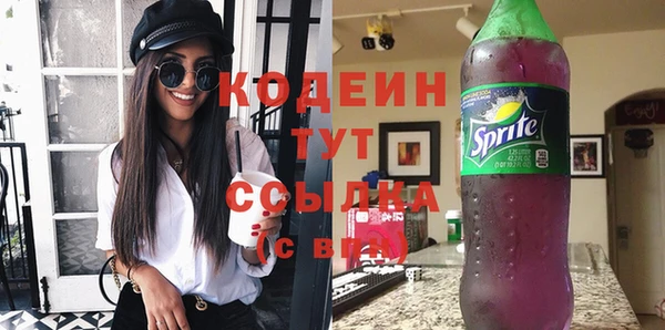 дмт Протвино