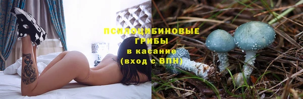 прущие грибы Пролетарск
