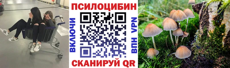 Галлюциногенные грибы мухоморы Пушкино