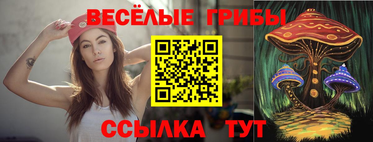 Пушкино  Псилоцибиновые грибы Magic Shrooms  Псилоцибиновые грибы мухоморы  Вход с VPN 